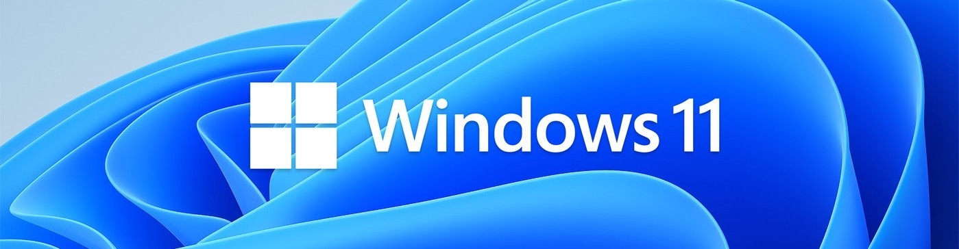 Etiqueta engomada del COA de Windows 10