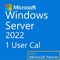 1 Usuario Cal Windows Server 2022 6VC-04363 Código Computadora Servidor