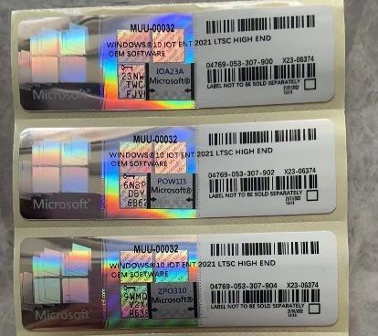 Windows 10/11 IOT ENT 2024 Software LTSC Para Windows 10 11 ENT 2019 2021 2024 LTSC Multilingüe Activación en línea a nivel mundial